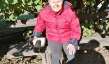 IMG-37f201be9ad12377de6350e8962b09e9-V